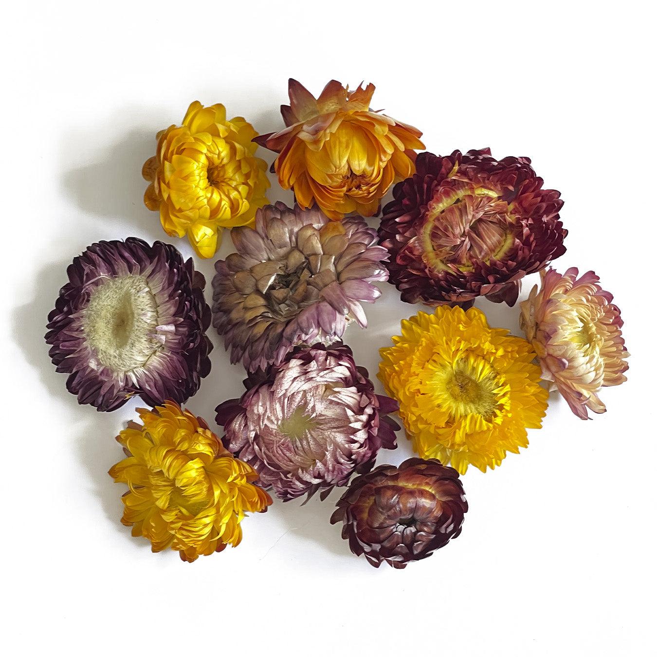 Natural dried flowers - 1 Natural dried flowers - 1