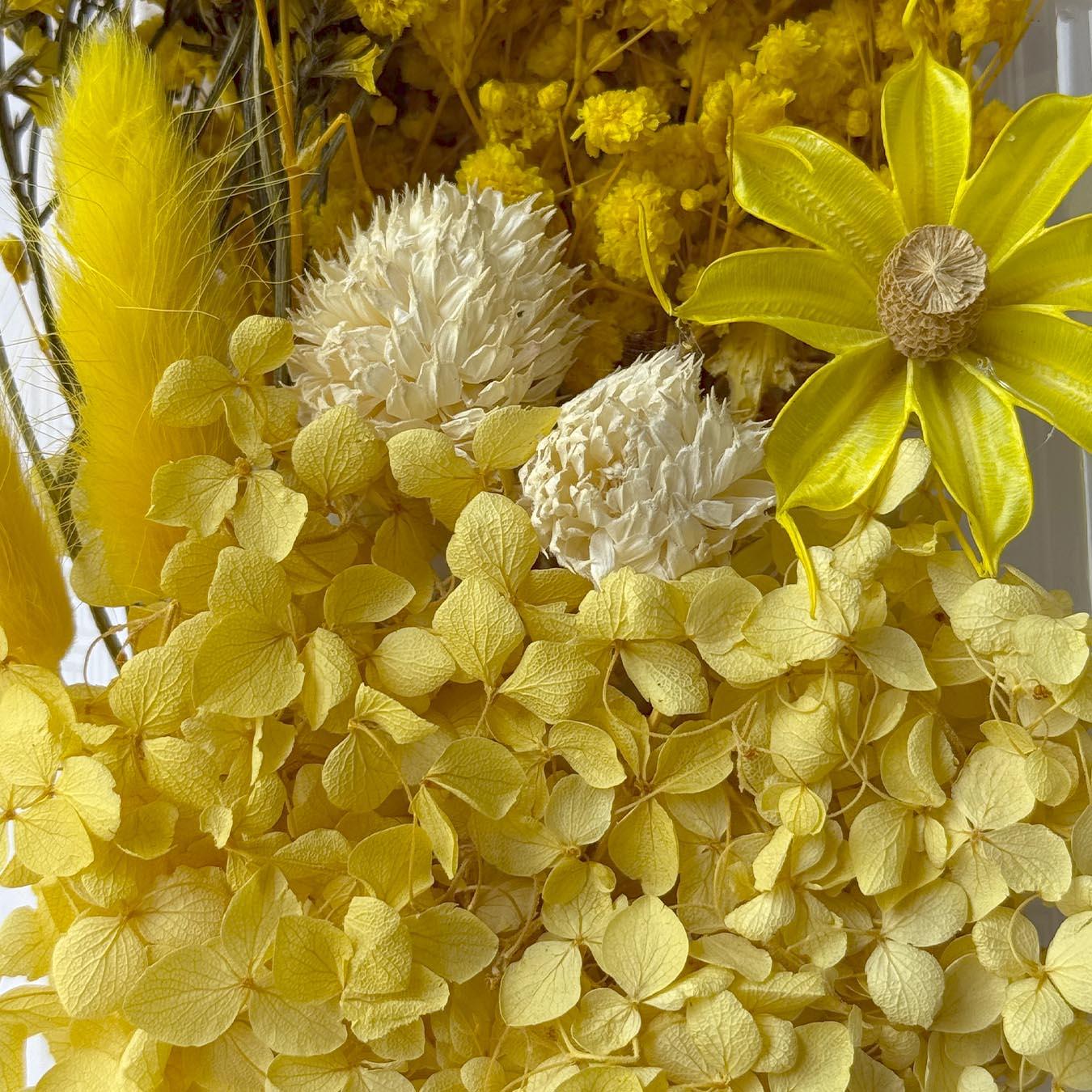 סט פרחים מיובשים טבעיים C - 2 סט פרחים מיובשים טבעיים C - 2