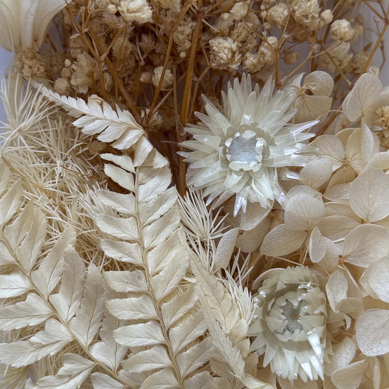 Natural dried flowers set E - 2 Natural dried flowers set E - 2