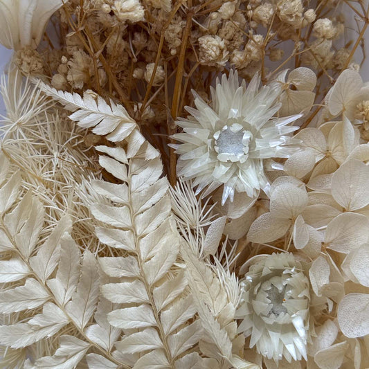 סט פרחים יבשים טבעיים E - secondary image סט פרחים יבשים טבעיים E - secondary image