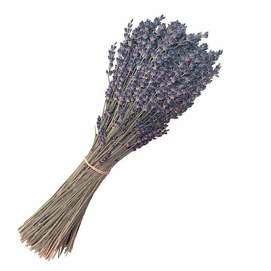 Natural dried lavender Natural dried lavender