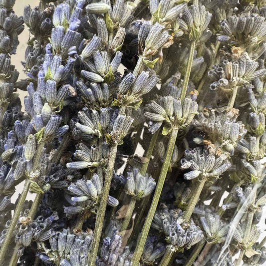 Natural dried lavender - secondary image Natural dried lavender - secondary image