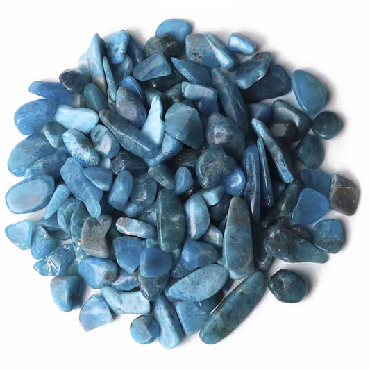 <tc>אפטיט</tc> <tc>אפטיט</tc>