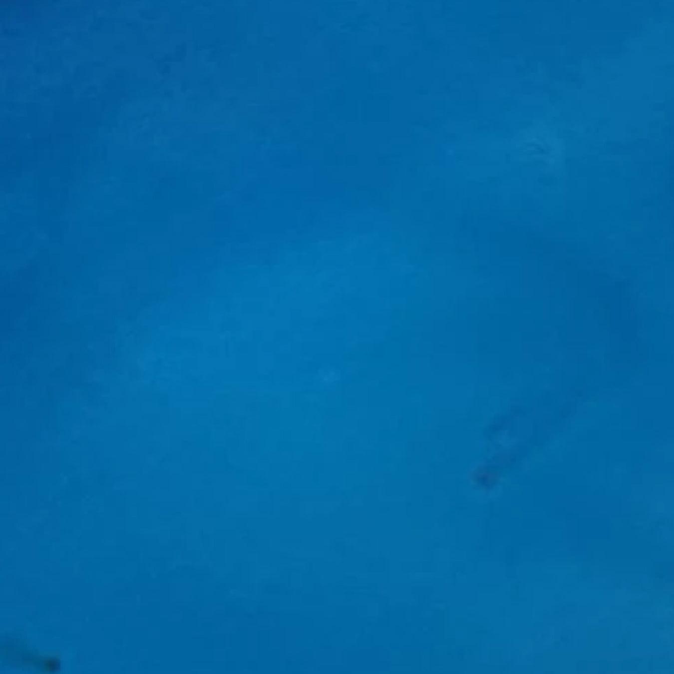 <tc> (כחול באחה) BAJA BLUE - Piñata דיו אלכוהול </tc> thumbnail - 2 <tc> (כחול באחה) BAJA BLUE - Piñata דיו אלכוהול </tc> thumbnail - 2