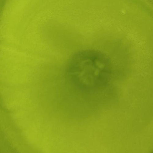 <tc> (ירוק של ליים) LIME GREEN - Piñata דיו אלכוהול </tc> - secondary image <tc> (ירוק של ליים) LIME GREEN - Piñata דיו אלכוהול </tc> - secondary image
