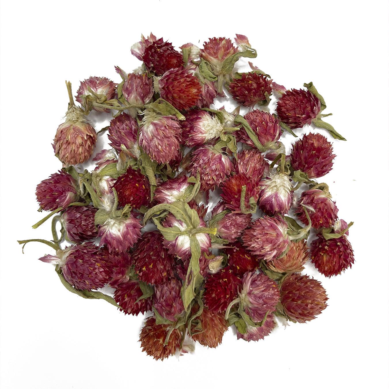 גלובוס אמרנט (Gomphrena) מיובש טבעי - ורוד - 1 גלובוס אמרנט (Gomphrena) מיובש טבעי - ורוד - 1