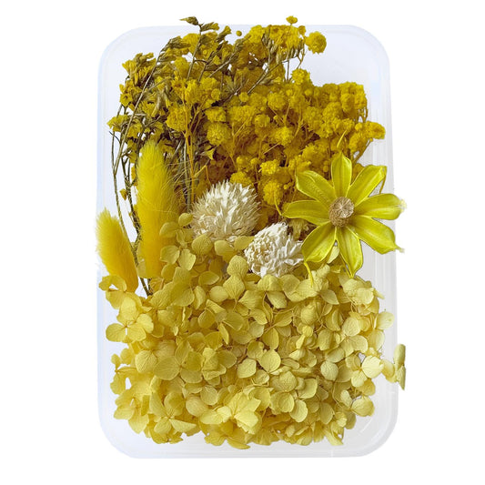 Natural dried flowers set C