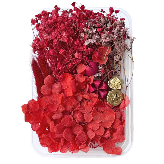 Natural dried flowers set A