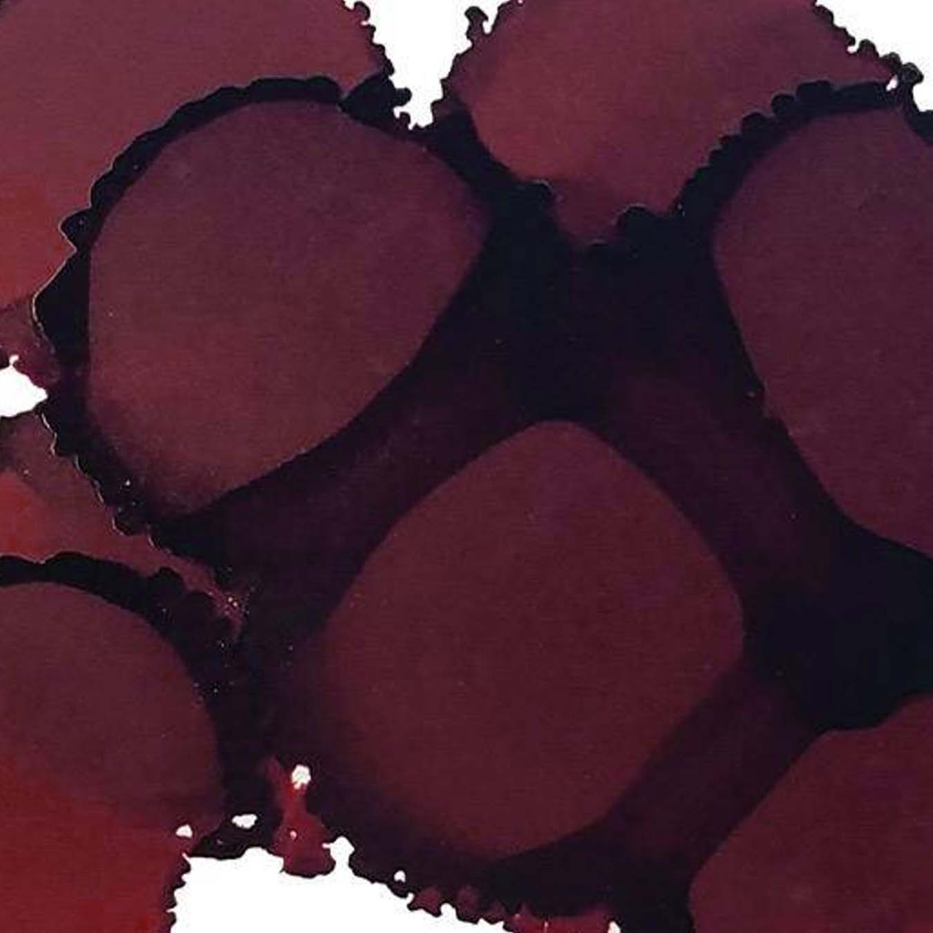 Piñata Alcohol Ink - HAVANA BROWN thumbnail - 2