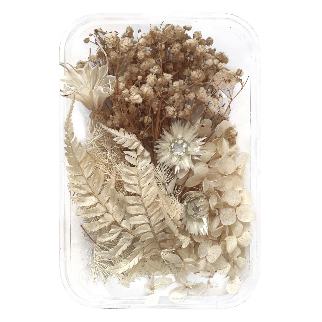 Natural dried flowers set E - 1