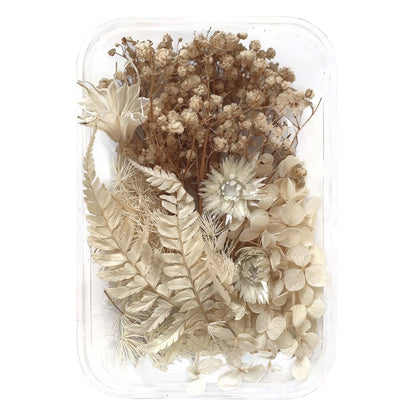 Natural dried flowers set E