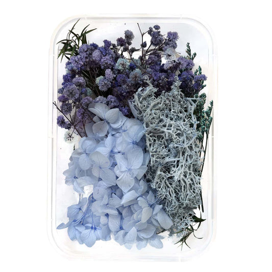 סט פרחים יבשים טבעיים O