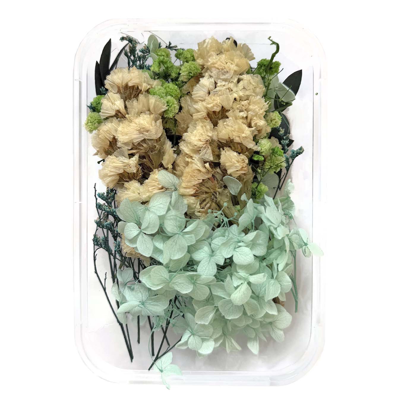 סט פרחים מיובשים טבעיים C - 1