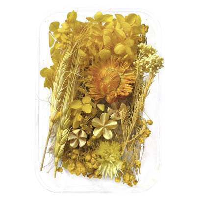 Natural dried flowers set G