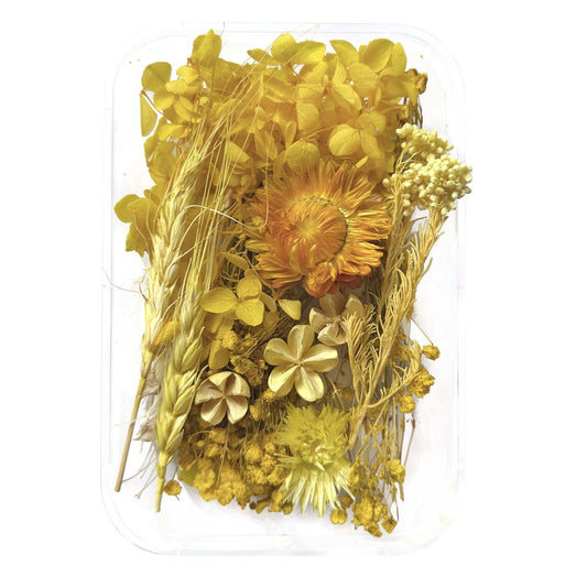 Natural dried flowers set G