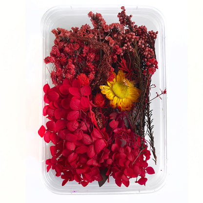 Natural dried flowers set H