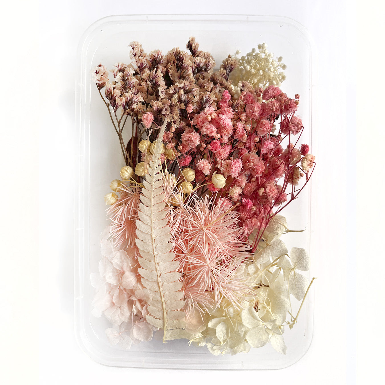 Natural dried flowers set S