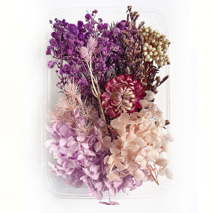 Natural dried flowers set Q