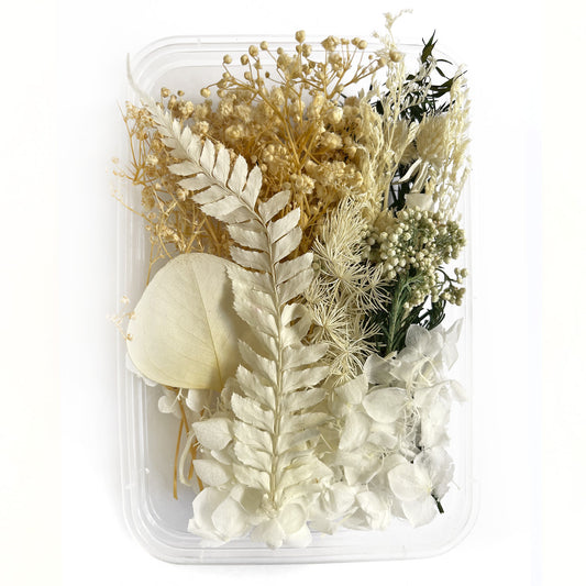 Natural dried flowers set M