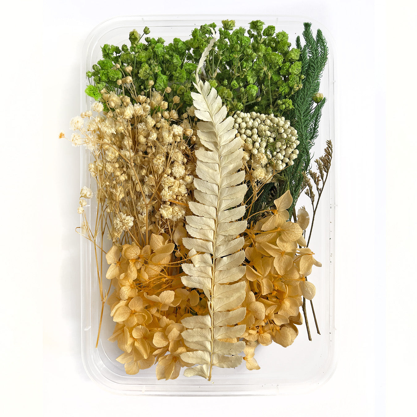 Natural dried flowers set L