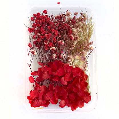 Natural dried flowers set I