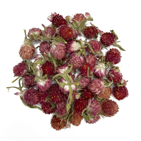 Natural dried Globe Amaranth (Gomphrena) - pink