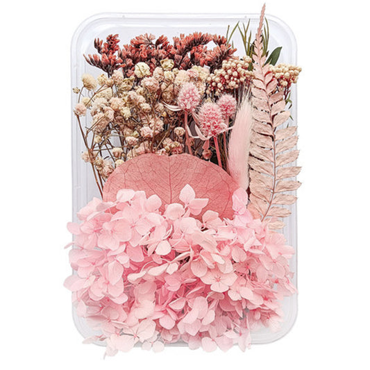 Natural dried flowers set G