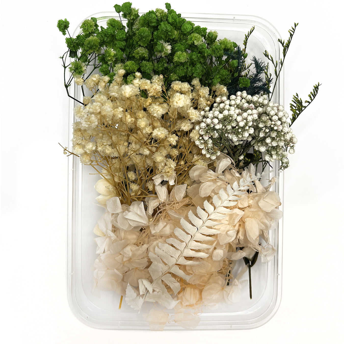Natural dried flowers set D