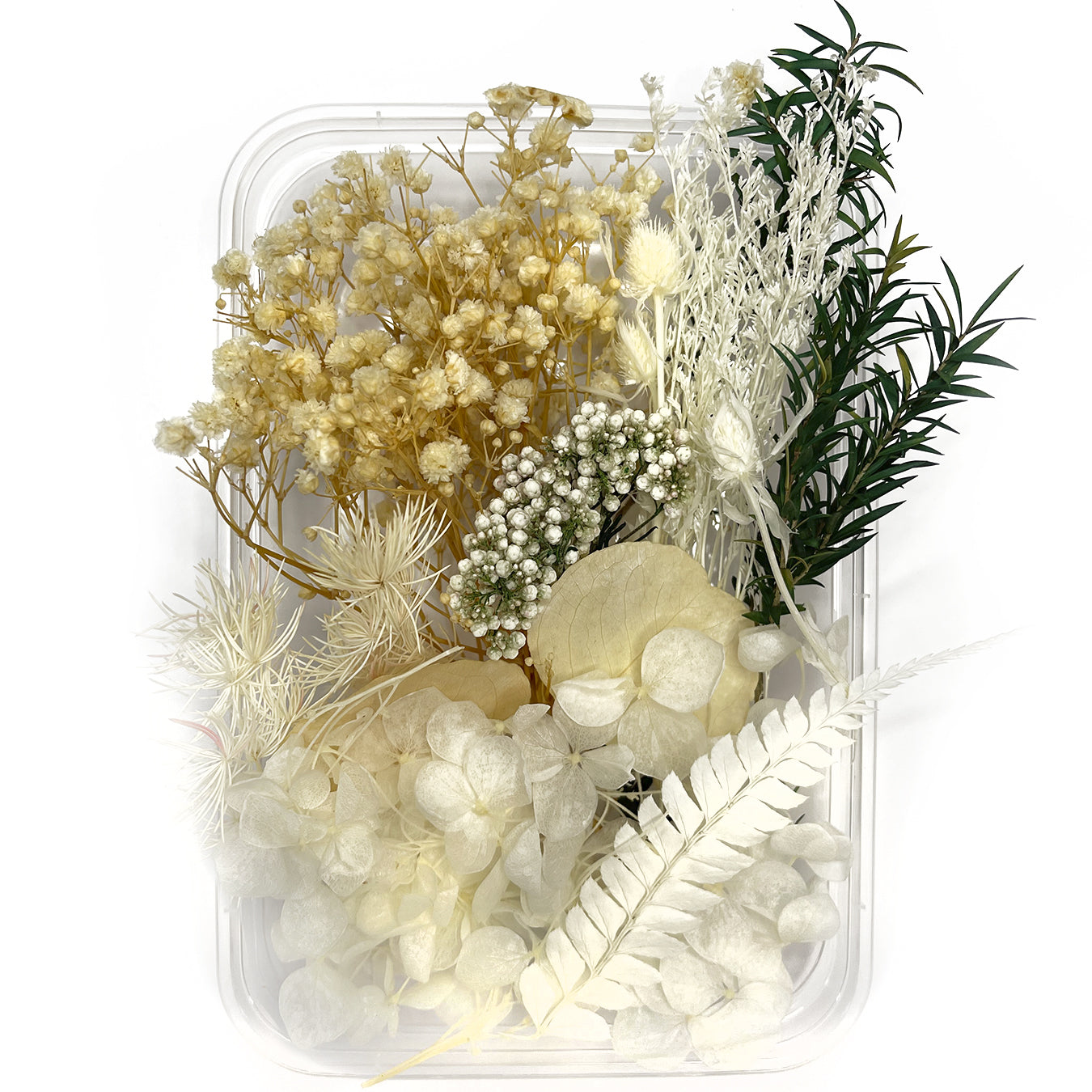 Natural dried flowers set B