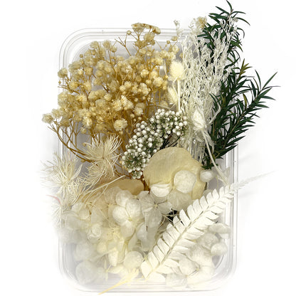 Natural dried flowers set B